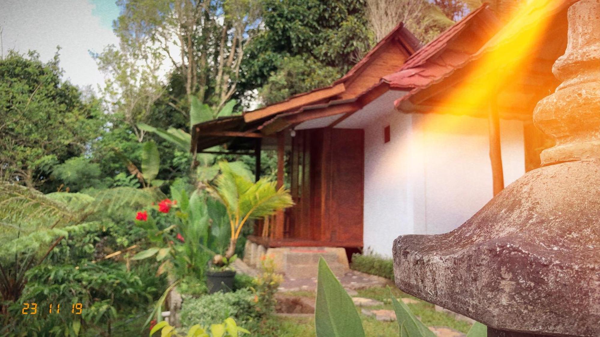 Sedana Yoga Resort Jembrana Dış mekan fotoğraf